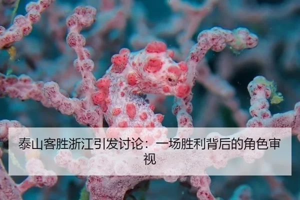 泰山客胜浙江引发讨论：一场胜利背后的角色审视